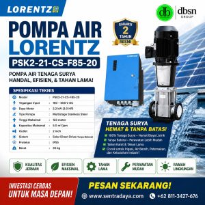apa itu pompa lorentz psk2 21 cs f85 20 dan untuk apa digunakan?
