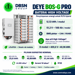 deye lifepo4 51,2vdc hv